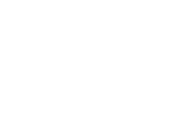 Calligraphy Collection